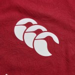 British & Irish Lions 2025 Replica Jersey - Men's British & Irish Lions 2025 Replica Jersey - Men's