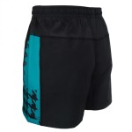 25/26 Training Shorts Adult 25/26 Training Shorts Adult