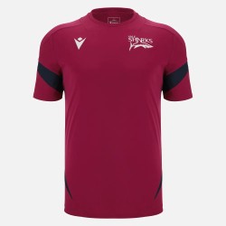 Sale Sharks 2025/26 Training Tee