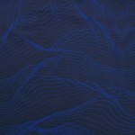 Edinburgh Rugby 2024/25 body fit home match shirt-men's Edinburgh Rugby 2024/25 body fit home match shirt-men's